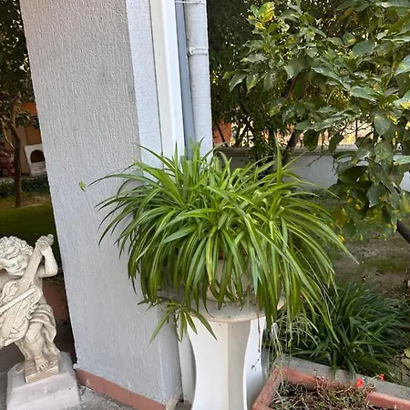 Bed and breakfast Ajoaolbia