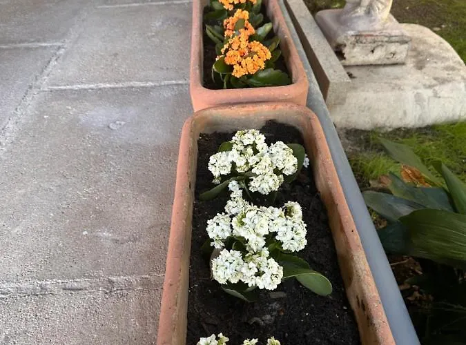 Alojamento de Acomodação e Pequeno-almoço Ajòaolbia